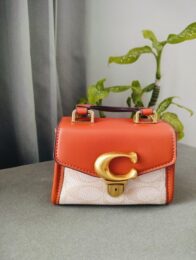 Adda Trendy Mini Orange & Beige Handbag