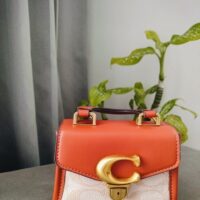 Adda Trendy Mini Orange & Beige Handbag
